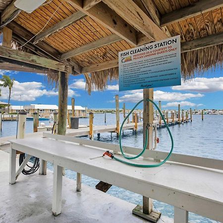 St Kitts - Downtown Waterfront Penthouse Pool Dock Parking Villa Key West Eksteriør billede